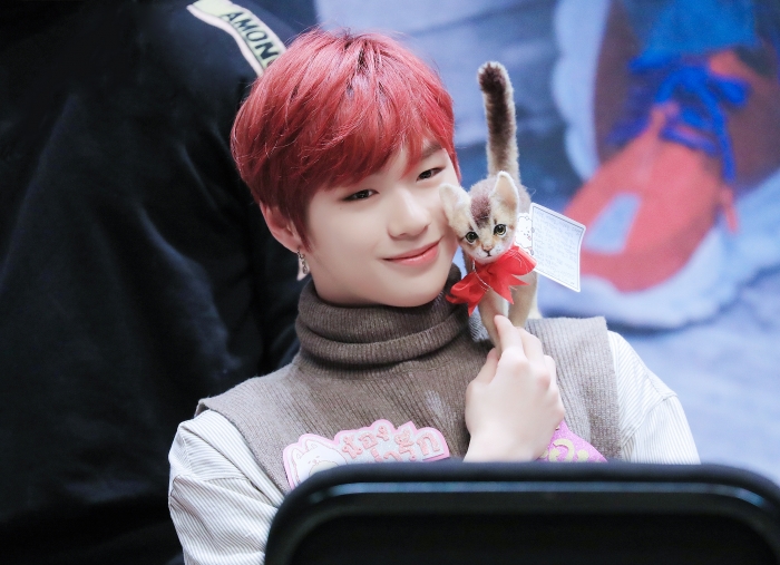 강다니엘 